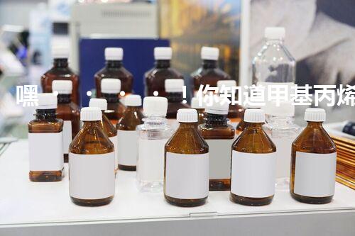 嘿！你知道甲基丙烯酸羥丙酯是?；穯?？